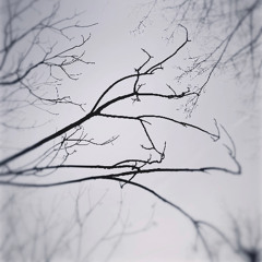 Ashot Danielyan - Melancholic Tune #2