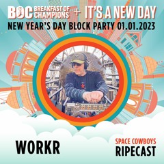 WorkR - Live @ BoC + IAND 2023 - RIPEcast