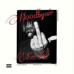 H00dbyAIR FREESTYLE