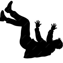 Freefall