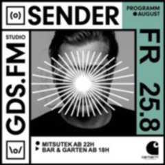 Mitsutek at Sender Zurich 25/08/2017