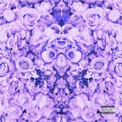 Life Of The Party ReUp