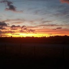 Ben Vlutch B2B Rektus