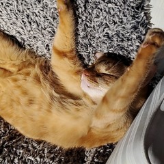 The End Of A Journey