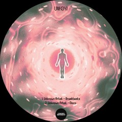 Unknown Artist - Disco [UNK041] [PREMIERE]