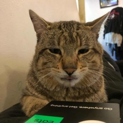 APACHE999-hooligan(prod.vlurry)