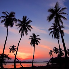 Medellin - Trap Instrumental (Prod. by T&C)