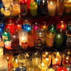 carousel gardens p.chirp