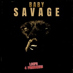 Loops 4 Producers - Baby Savage