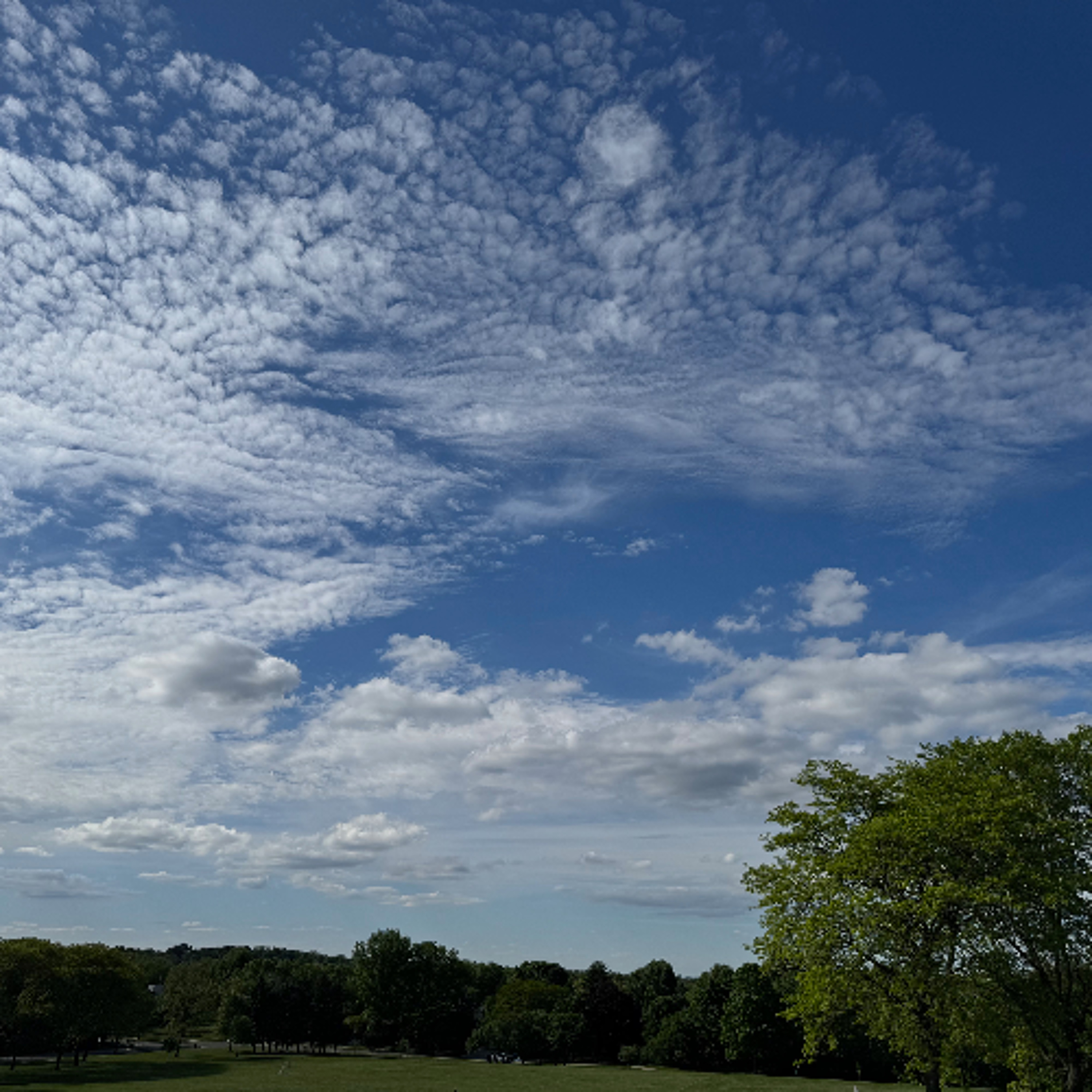 Forecast from Wednesday 5-20-26