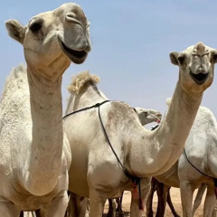 ‎⁨ياوجودي على عمر سنينه الرحميه - خالد ال بريك - عناد الشيباني - حصرياً 2024⁩.m4a