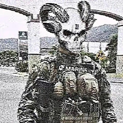 Stream Lil Lukie Listen to 2022 Greatest TikTok Gym songs playlist