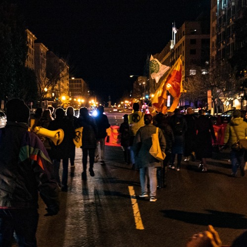 BIPOC Voices In The Climate Movement - Few And Far Between? Ep 1
