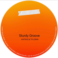 Sturdy Groove [ANTIKS & TFLOWN]