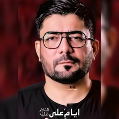 Hum Log Margaye _ Mir Hasan Mir New Nohay 2024 _ 21 Ramzan Noha 2024 _ Mola Ali Noha 2024(MP3_160K).