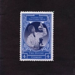 The Divine Comedy - Touch Me (live)