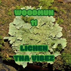 Lichen Tha Vibez - Woodmun 11