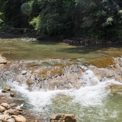 Água escorrendo em pedra, cachoeira pequena