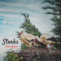 Storks