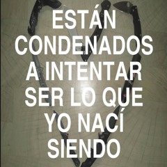 Sh1n3x