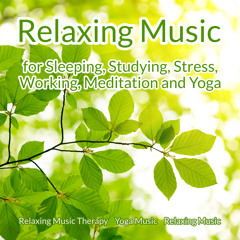 Relaxing Music for Stress Relief