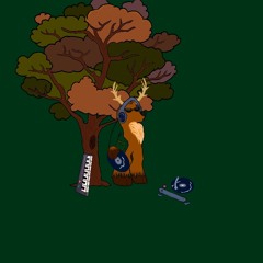 Enchanted Enigma