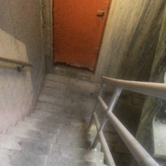 busy or dizzy (prod. me)