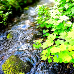 Rushing water
