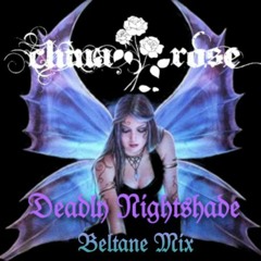 China Rose Beltane Mini Mix - "DEADLY NIGHTSHADE"