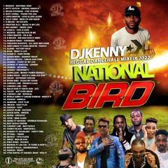 DJ KENNY NATIONAL BIRD REGGAE DANCEHALL MIX FIX 2022