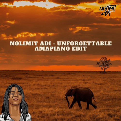 Nolimit Adi - Unforgettable (AMAPIANO EDIT)
