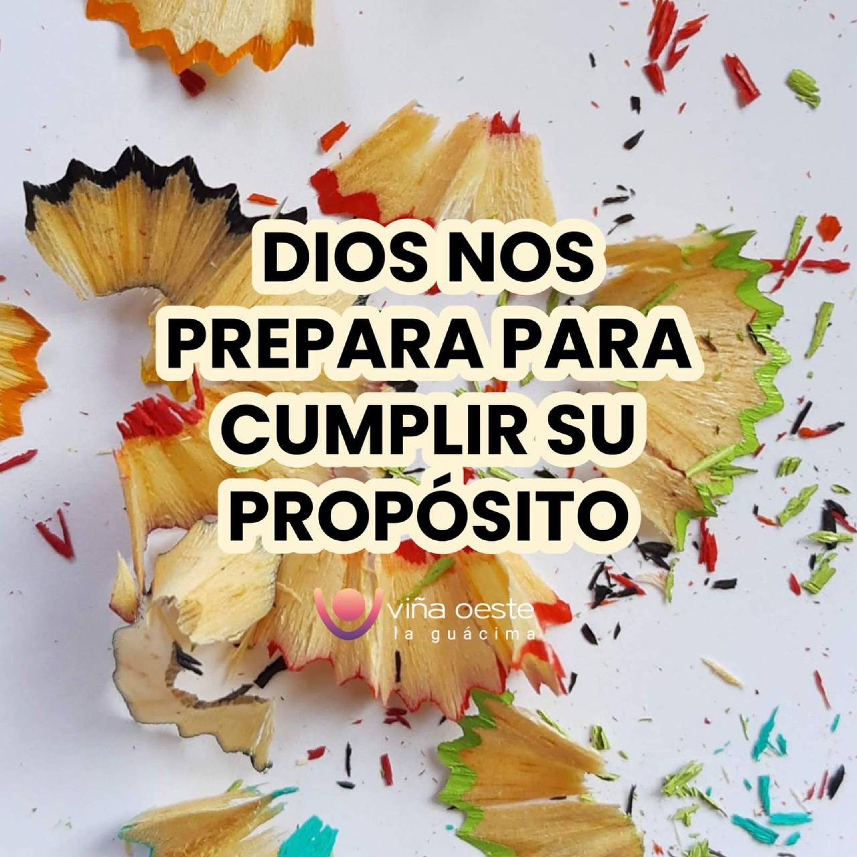 Viña Oeste La Guácima