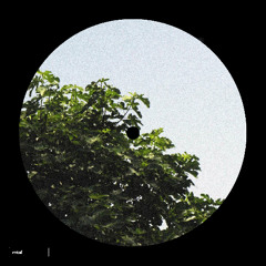 Cordeliers - Sunshine