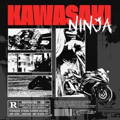 KAWASAKI VOL.1