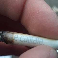 NORDWLUI - PLAYVAZ (Official Video)