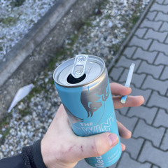 invincible - na koleni na koleni