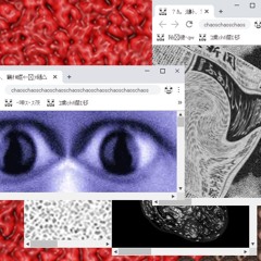 SHOOT2KILL! W/ break64bit (CLIP)