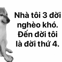 bien tinh lofi