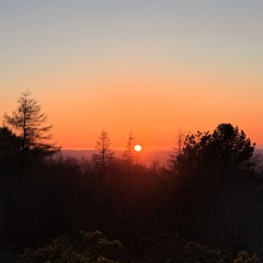 Innerbloom x Bauchnabelpiercing - krsti remix