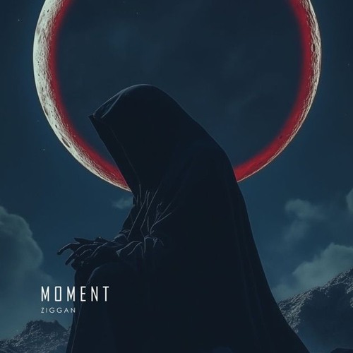 Moment - Ziggan