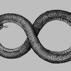 The End Of Ouroboros