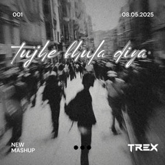 TREX - Tujhe Bhula Diya (Bollytech Mashup)