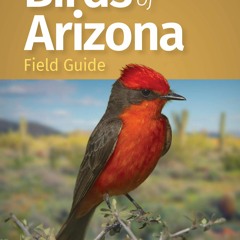 Download❤️[PDF]⚡️ Birds of Arizona Field Guide (Bird Identification Guides)