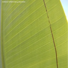 Sonically Spoken 002 ∞ Oisatsana