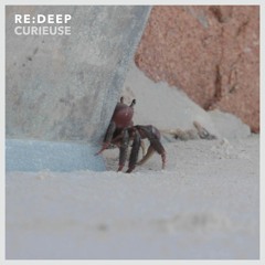 re:deep - Curieuse