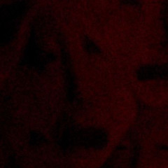 Swallowedblood.