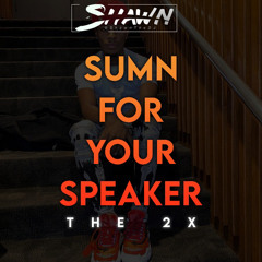 SUMN FOR YOUR SPEAKER #10 (TOOSII 2x)