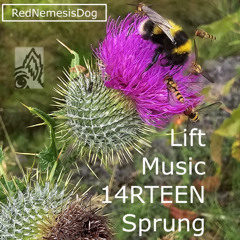Lift Music 14RTEEN Sprung