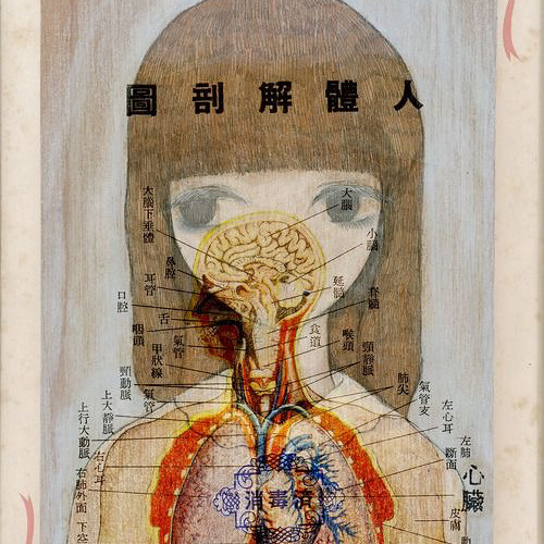 u ate me alive `✦ ˑ ִֶ 𓂃⊹✩°。⋆⸜ ☁︎