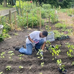 TENDING TO MY PEPPERS & DREAMING OF LIBERATION